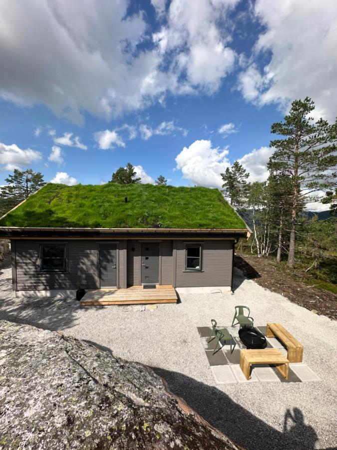 Modern Northern Lights Cabin Drangedal المظهر الخارجي الصورة