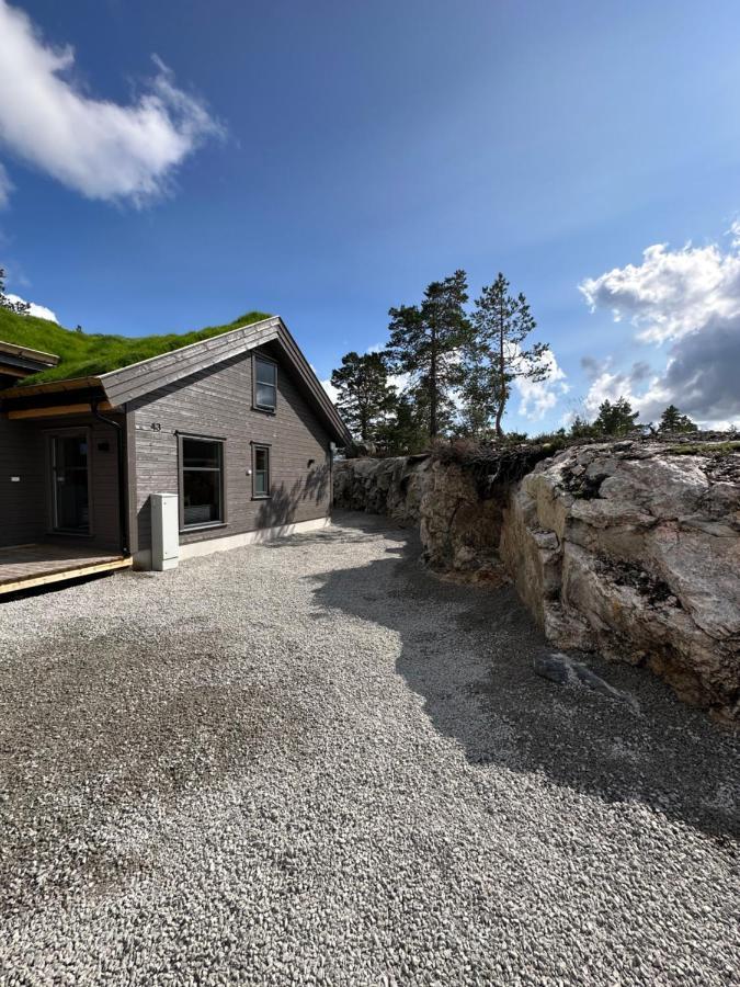 Modern Northern Lights Cabin Drangedal المظهر الخارجي الصورة