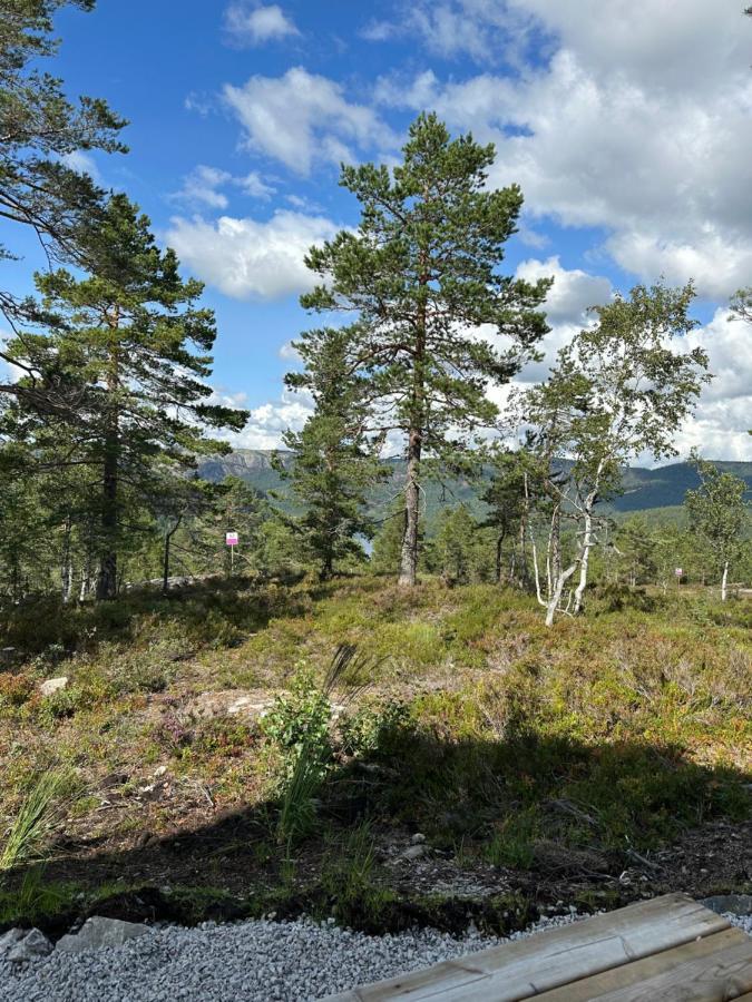 Modern Northern Lights Cabin Drangedal المظهر الخارجي الصورة