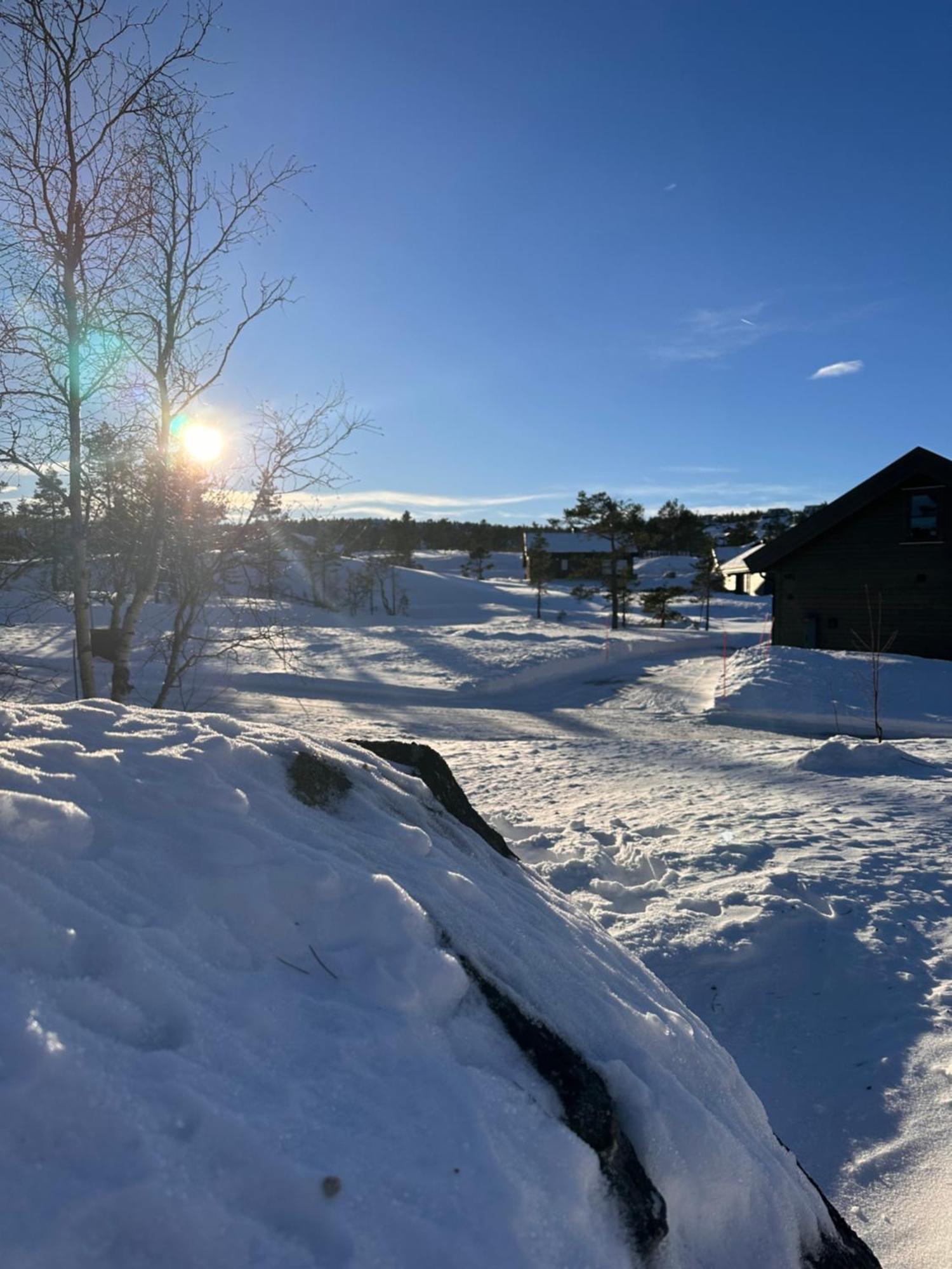 Modern Northern Lights Cabin Drangedal المظهر الخارجي الصورة