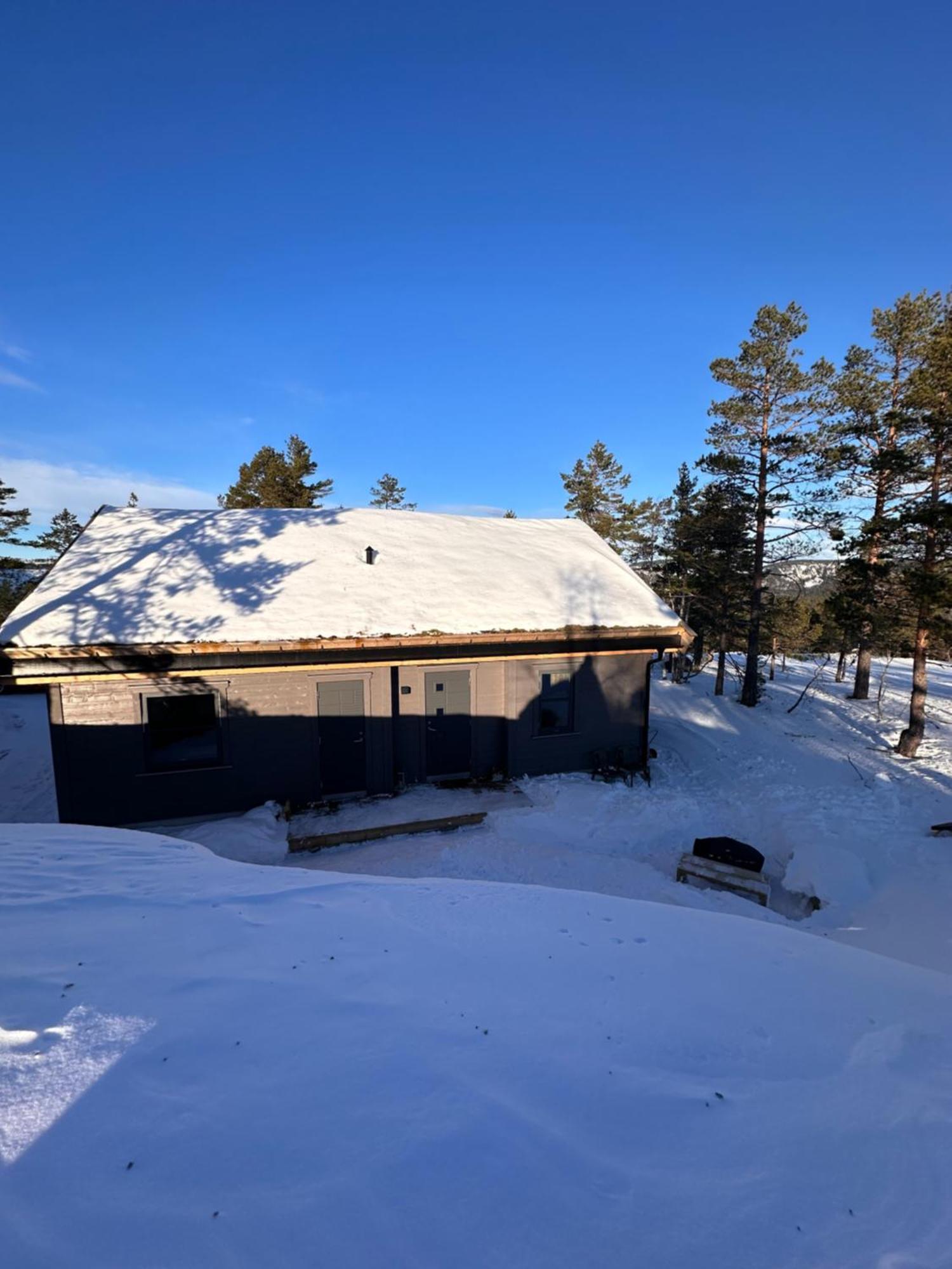 Modern Northern Lights Cabin Drangedal المظهر الخارجي الصورة