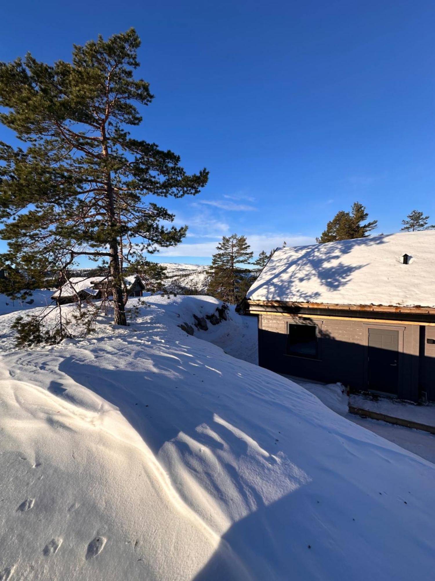 Modern Northern Lights Cabin Drangedal المظهر الخارجي الصورة