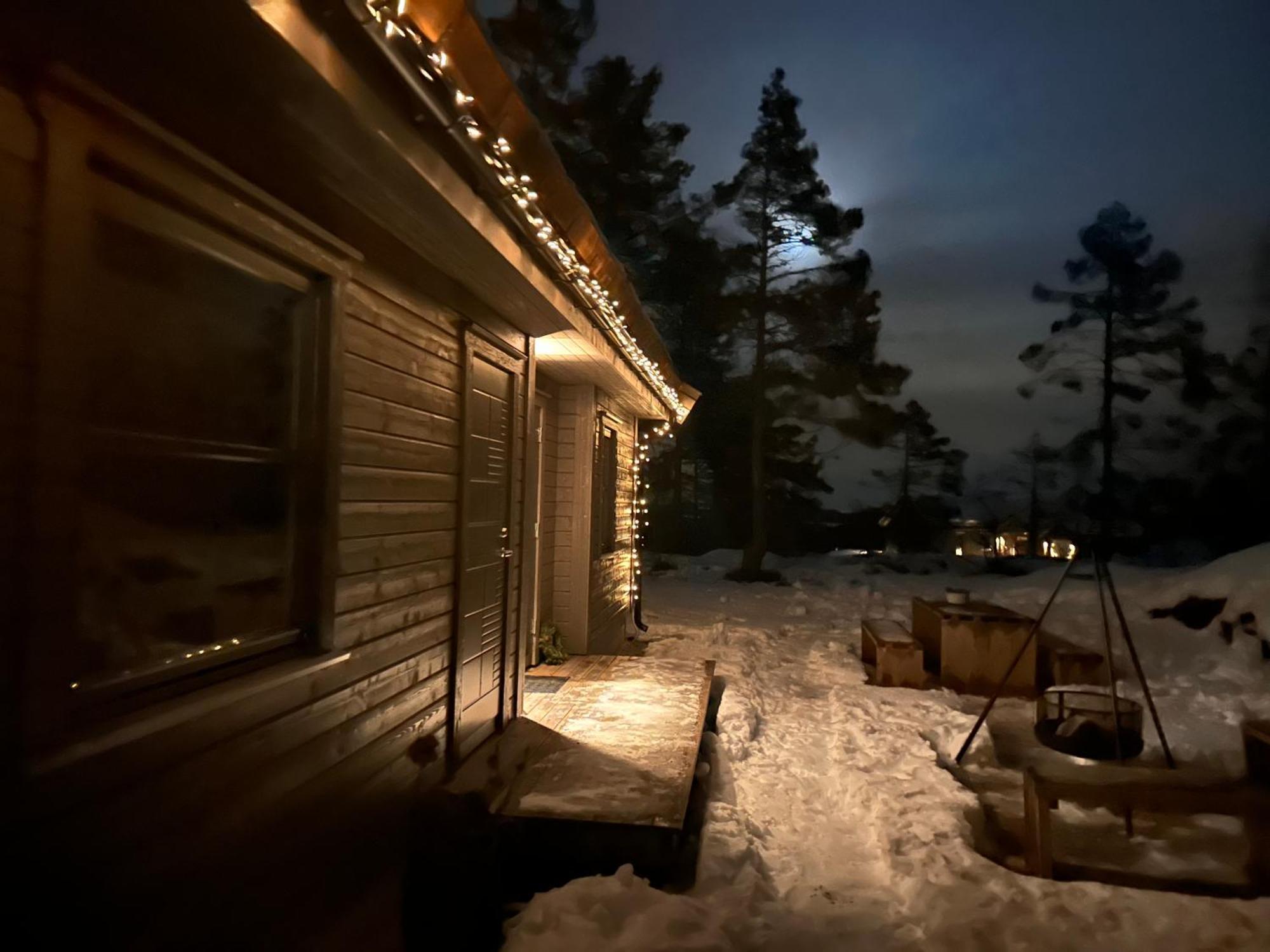 Modern Northern Lights Cabin Drangedal المظهر الخارجي الصورة