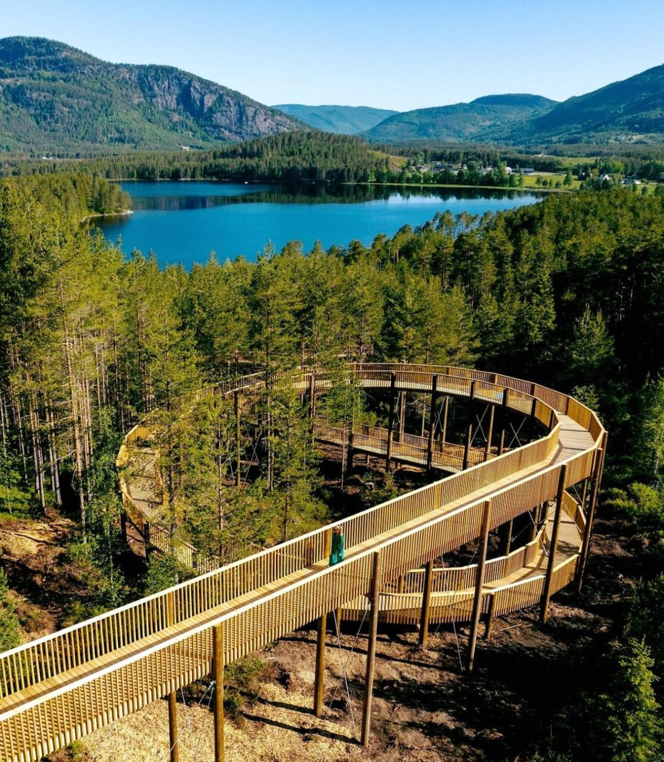 Modern Northern Lights Cabin Drangedal المظهر الخارجي الصورة